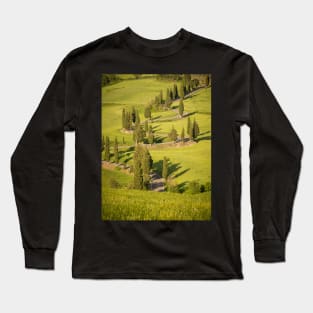 Line of cypress trees in bright sunlight Long Sleeve T-Shirt